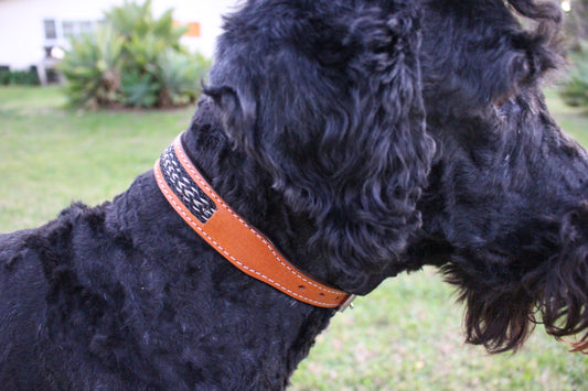 DESIGNER WHITE BRAIDED Black & White Dog Collar