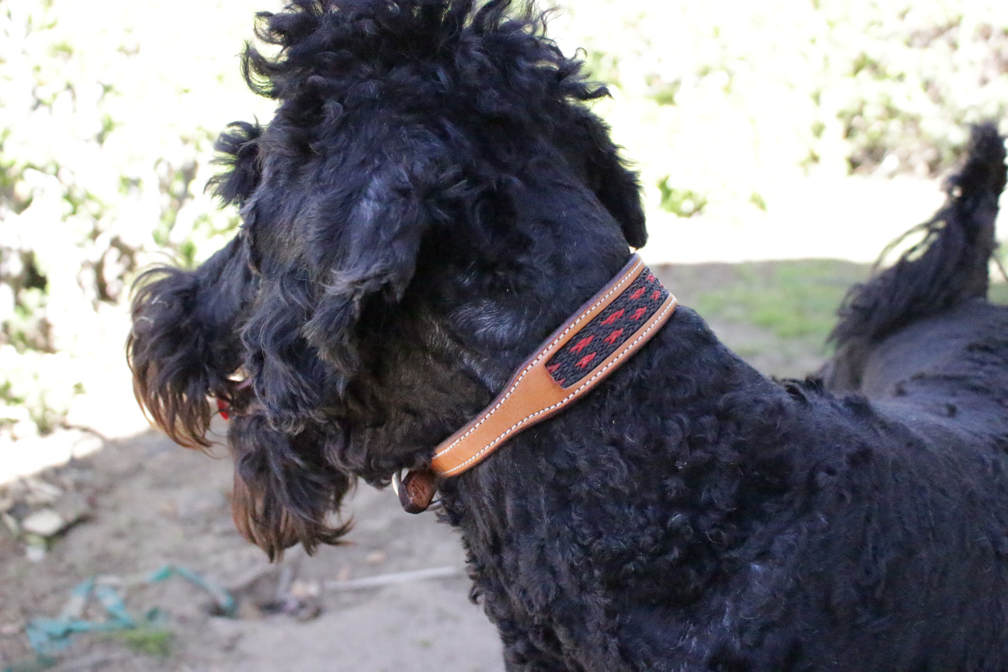 DESIGNER BRAIDED Black & Red Striped Dog Collar