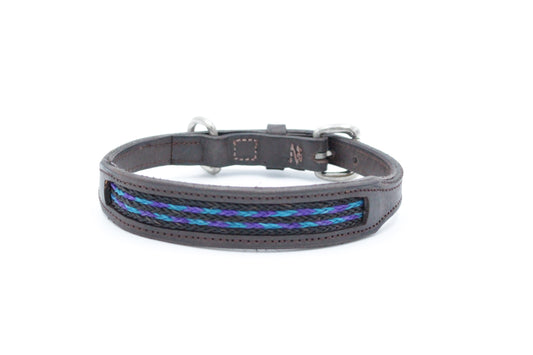 DESIGNER RARE BRAIDED Blue & Purple  Dog Collar