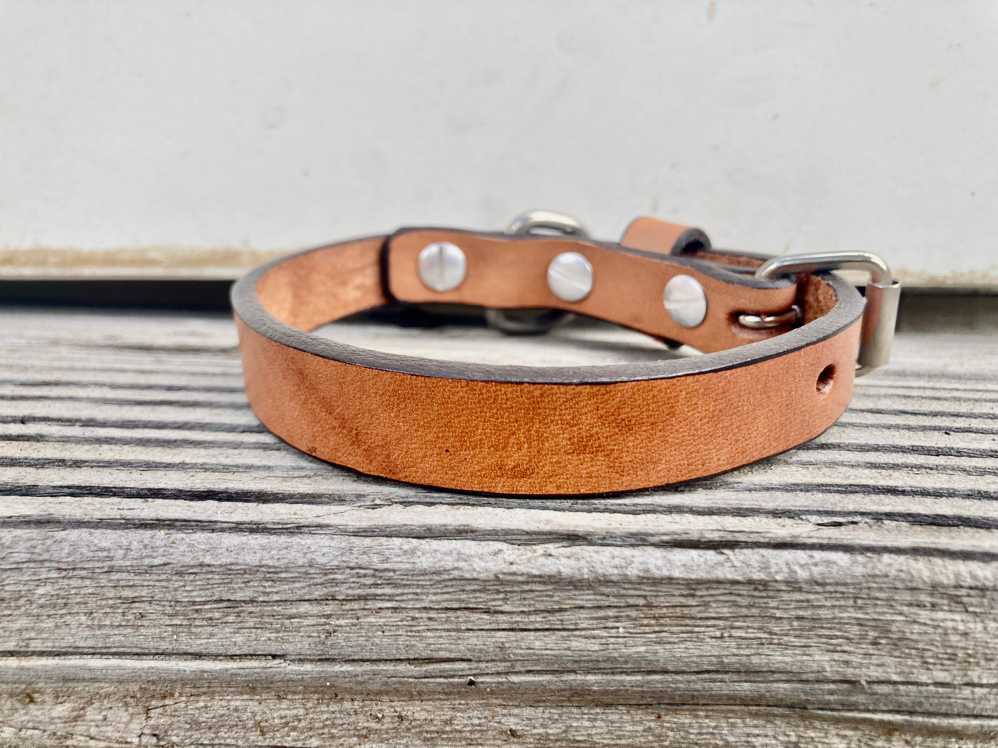 DESIGNER Camel Dog Collar