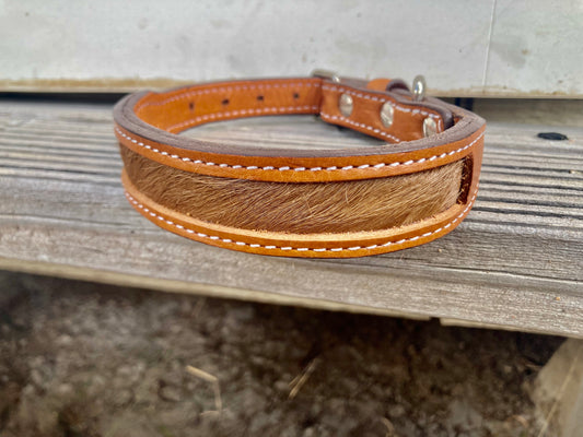 DESIGNER Cowhide Dog Collar