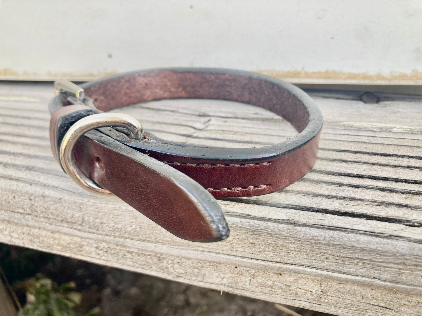 DESIGNER Traditional Dog Collar