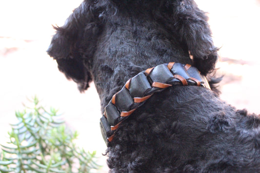 DESIGNER WOVEN LACED Dog Collar